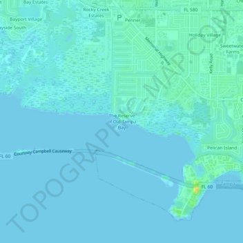 Mapa topográfico The Reserve of Old Tampa Bay, altitud, relieve