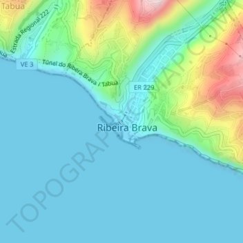 Mapa topográfico Ribeira Brava, altitud, relieve
