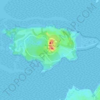 Mapa topográfico Puketutu Island, altitud, relieve